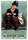 A Dog's Life (1918)2.jpg